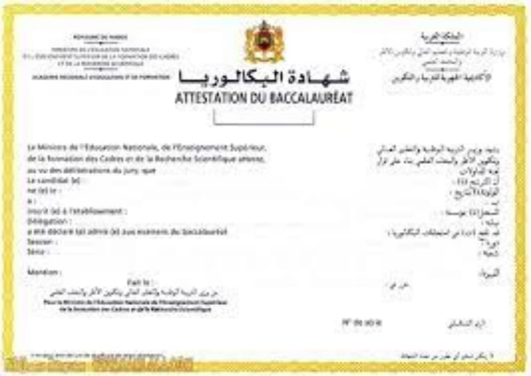 لغة الوثيقة مهمة بقدر محتواها