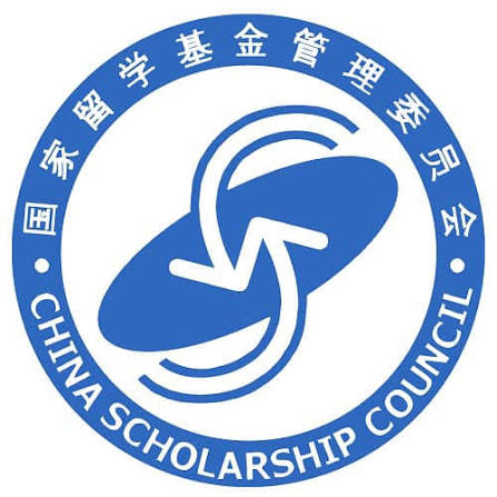 Budget as if the scholarship is zero until it is awarded